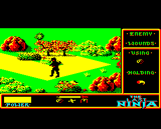 The Last Ninja Screenshot 44